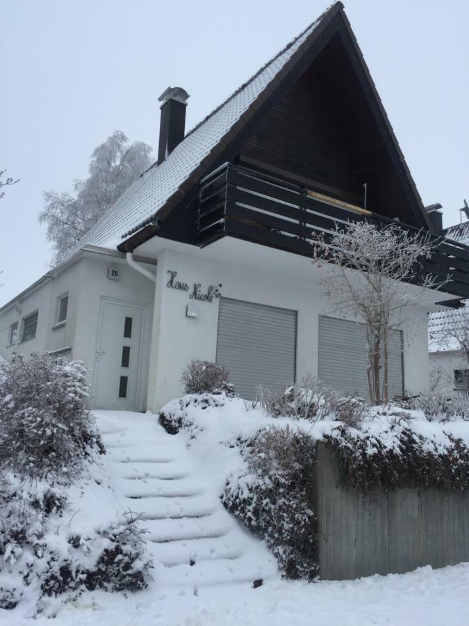 Appartement Haus Nicole à Herrischried Extérieur photo